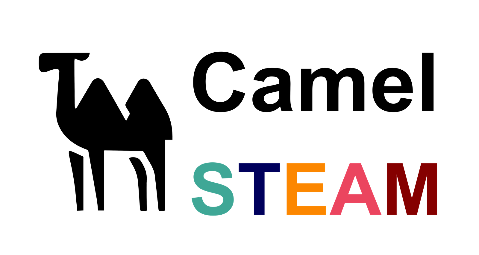 Camel STEAM 團隊